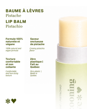 Pistachio Macaron Lip Balm – Natural & Delicious
